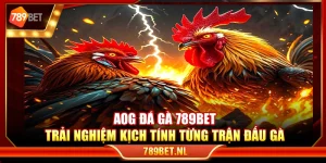 AOG đá gà 789Bet – Trải nghiệm kịch tính từng trận đấu gà