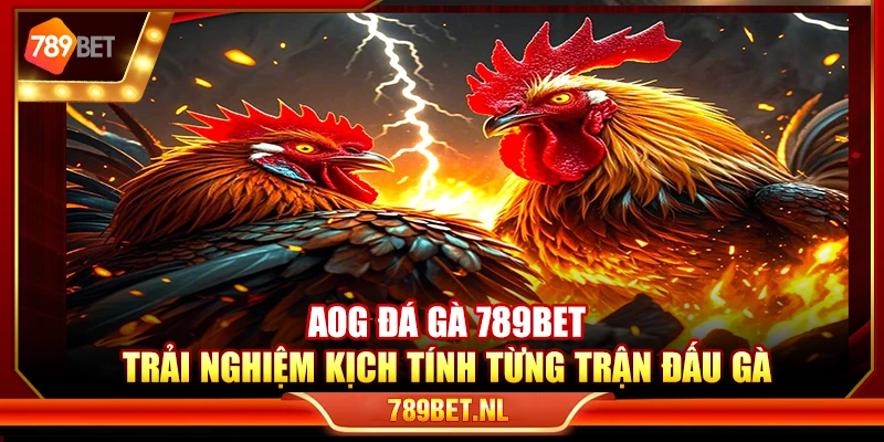 AOG đá gà 789Bet – Trải nghiệm kịch tính từng trận đấu gà