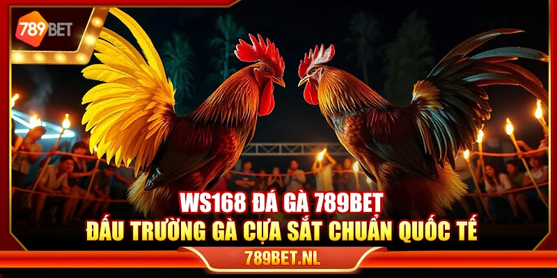 WS168 đá gà 789Bet – Đấu trường gà cựa sắt chuẩn quốc tế