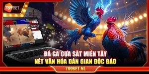 Đá gà cựa sắt miền Tây – Nét văn hóa dân gian độc đáo