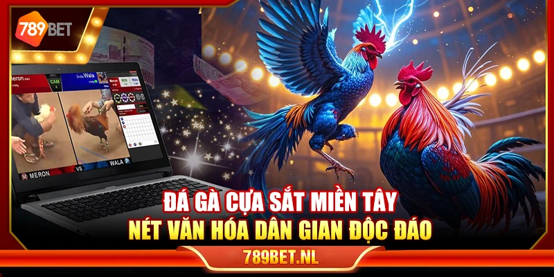 Đá gà cựa sắt miền Tây – Nét văn hóa dân gian độc đáo