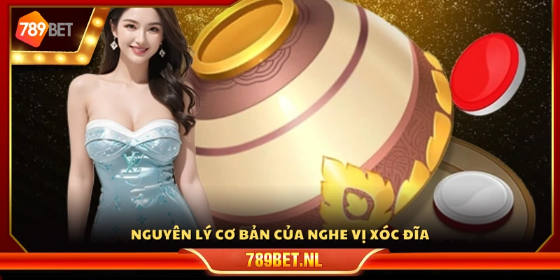 Cơ chế nền tảng của việc nghe vị xóc đĩa